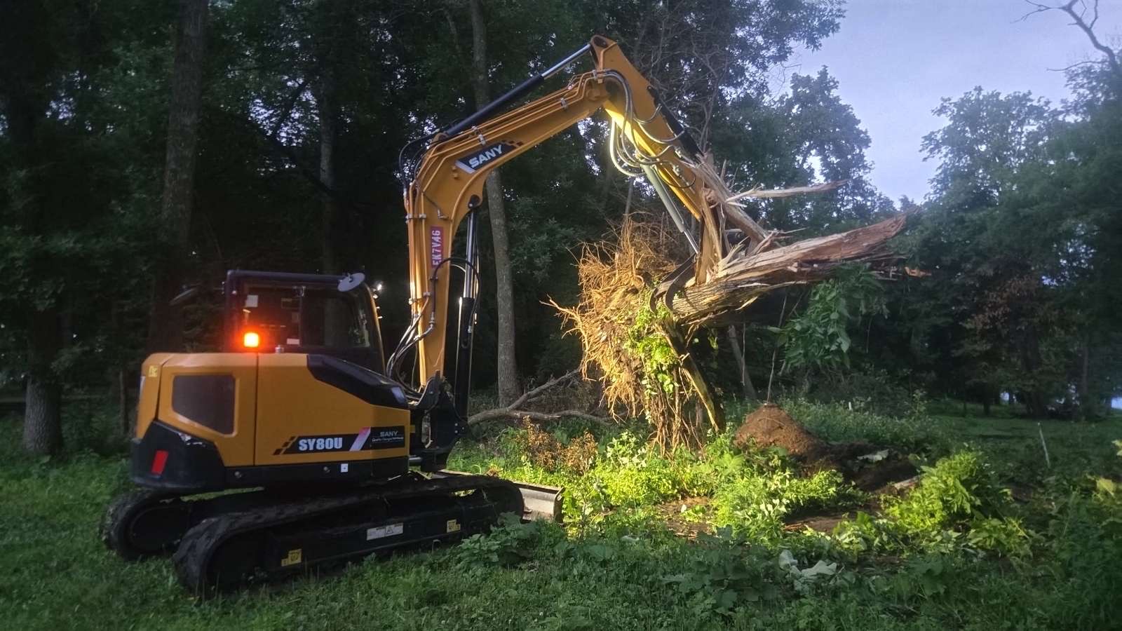 Compact excavator land clearing and tree removal near Fergus Falls, MN